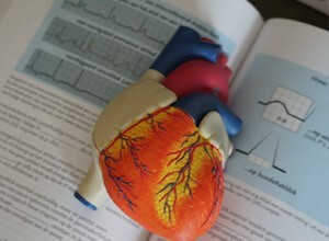 At risus pretium urna tortor metus fringilla