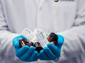 Ipsum cursus vestibulum at interdum Vivamus